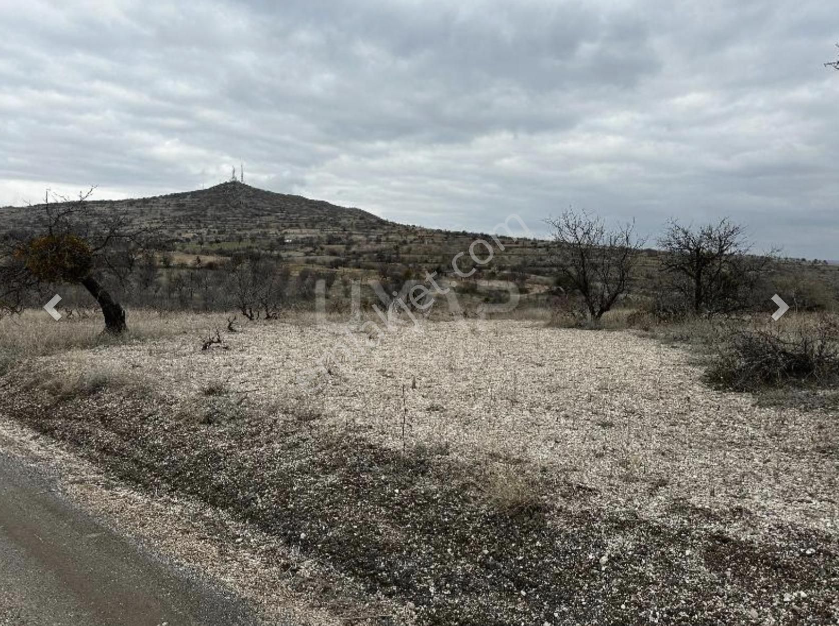 Nevşehir Merkez Göre Bld. (Afetevleri) Satılık Tarla RESMİ YOLU VAR, EV YAPILABİLİR, BENZERLERİNDEN ÇOK DAHA UCUZ