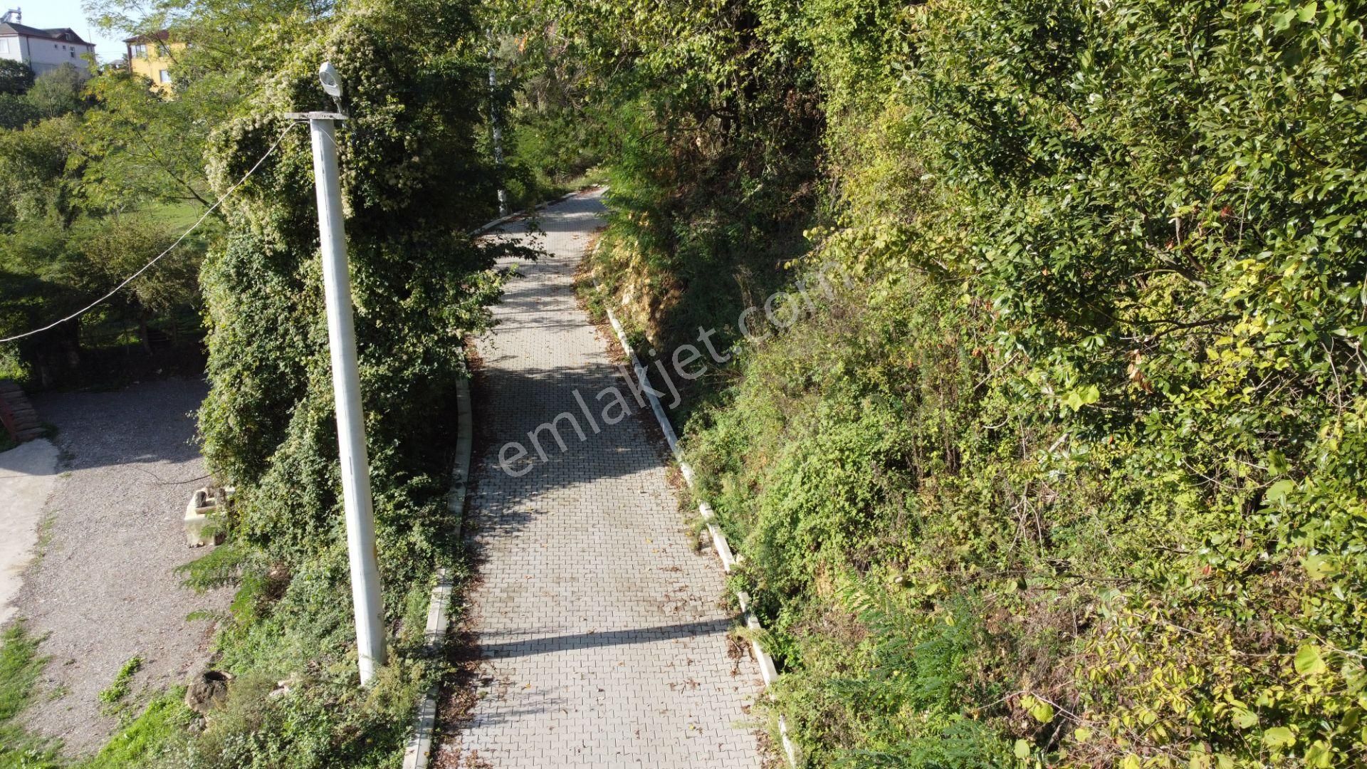 Kocaeli Kartepe De Köy İçi Arsa - Görsel 5