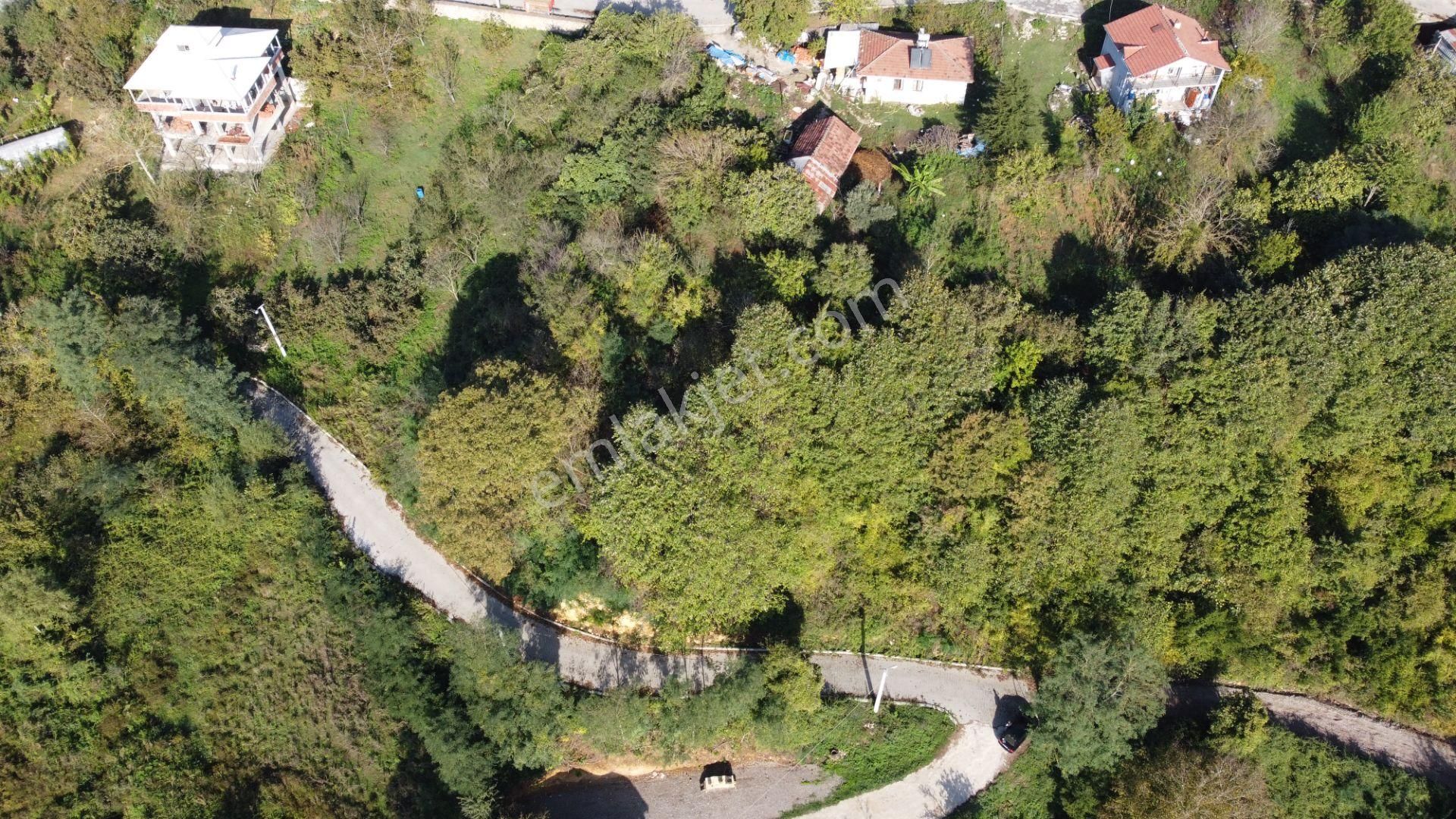 Kocaeli Kartepe De Köy İçi Arsa - Görsel 8