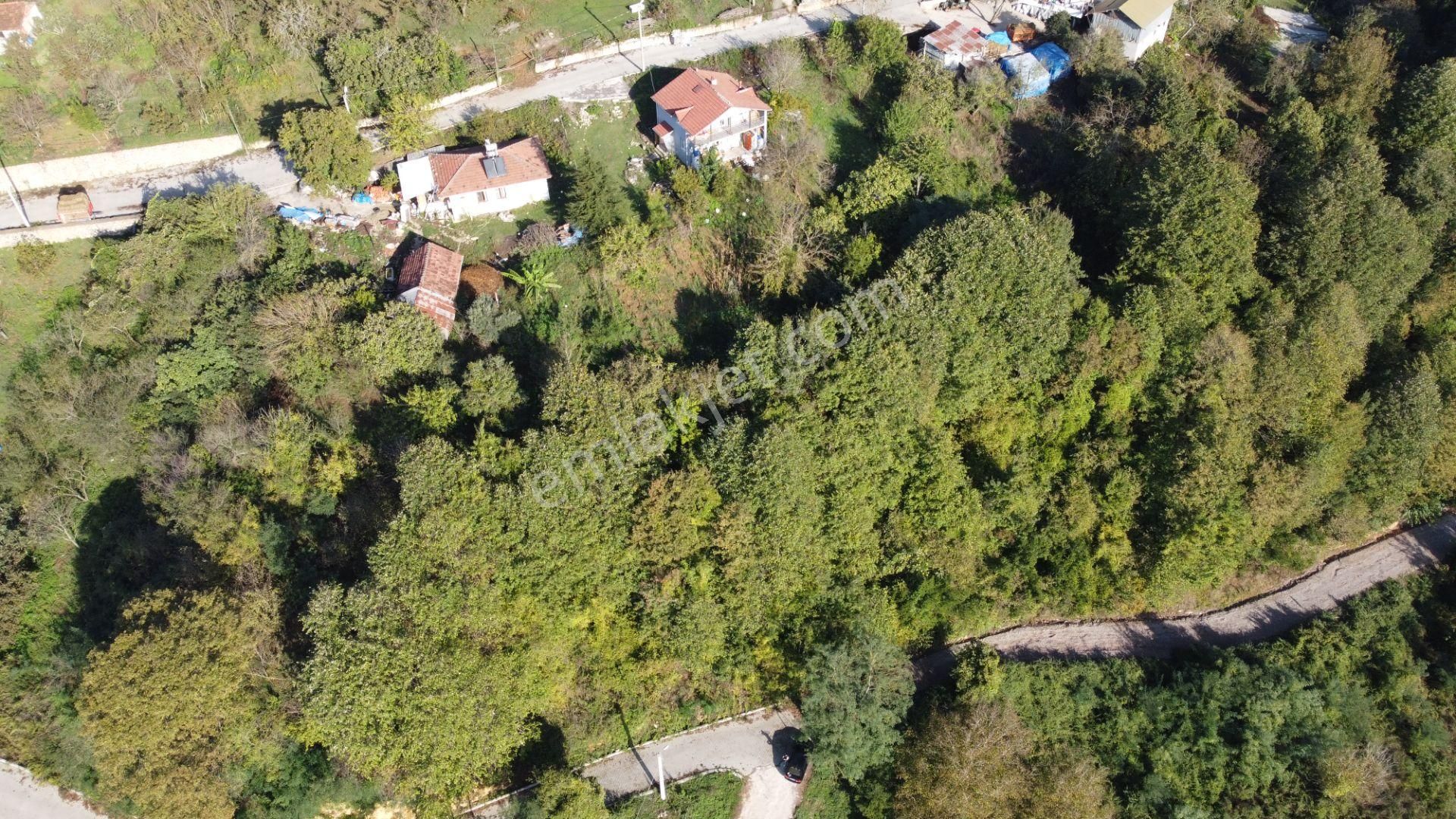 Kocaeli Kartepe De Köy İçi Arsa - Görsel 9