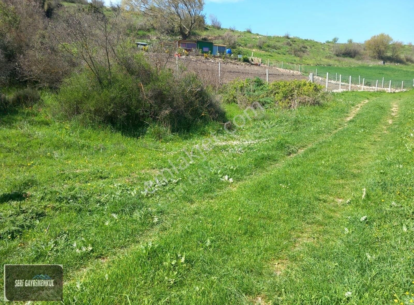 Kepsut Saraç Satılık Tarla SERİ'DEN SARAÇTA 3 TARAFIDA YOL KAÇIRILMAZ FIRSAT