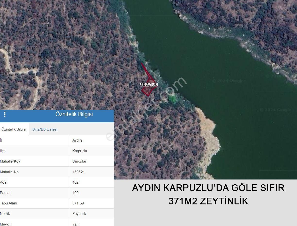 Karpuzlu Umcular Satılık Zeytinlik Aydın Karpuzlu Umcularda Baraj Gölüne Sıfır Zeytinlik