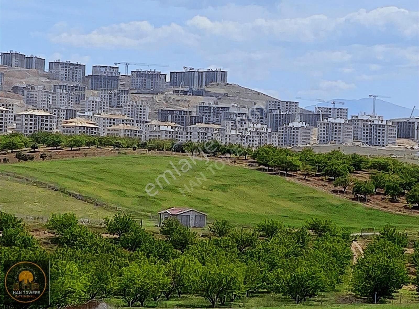 Yeşilyurt Yalınkaya Satılık Bağ & Bahçe Cafana Yılanlı Mevkinde Satılık Uygun Bahçe