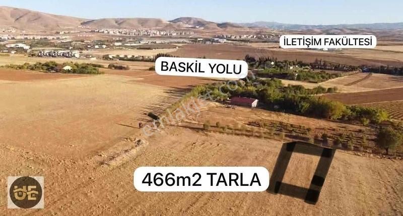 Elazığ Merkez Örençay Köyü Satılık Tarla 466m2 Yatırımlık Ve Bahçe Yapımına Hazır Tarla