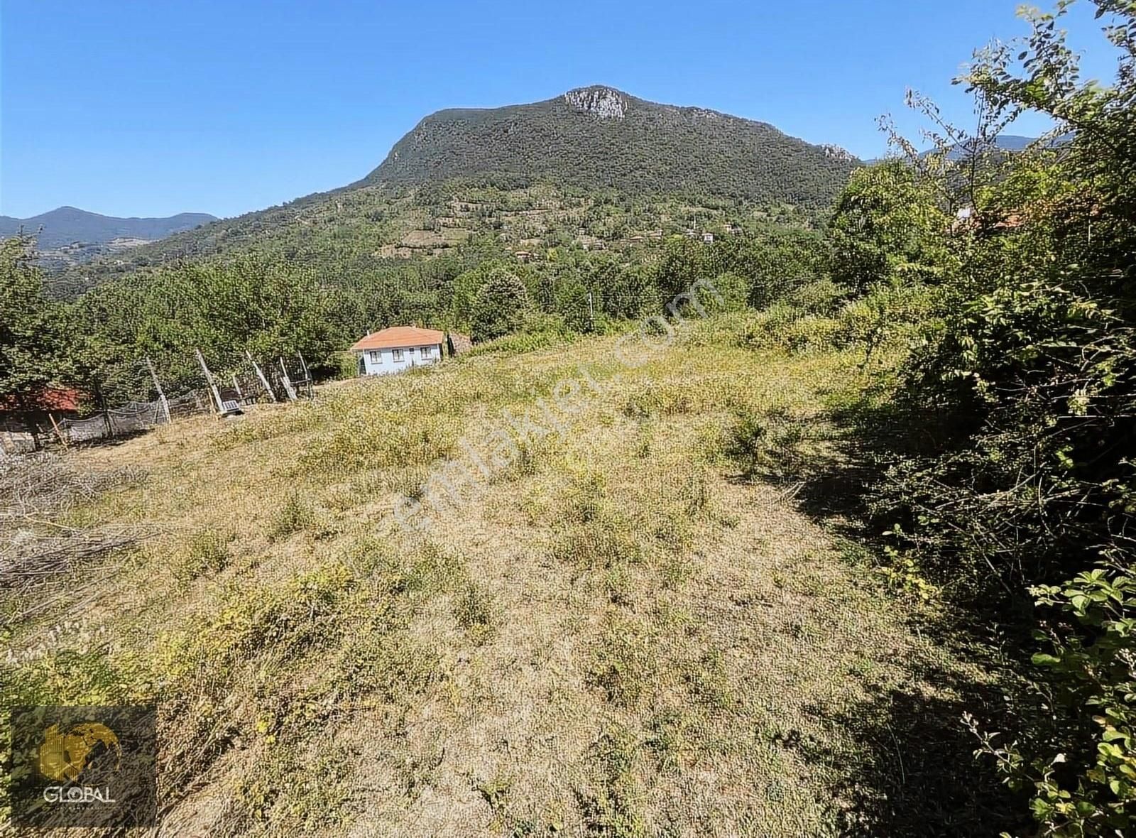 Amasra Esenler Köyü (Merkez) Satılık Konut İmarlı ÇAKRAZ AVARA SATILIK İMARLI ARSA