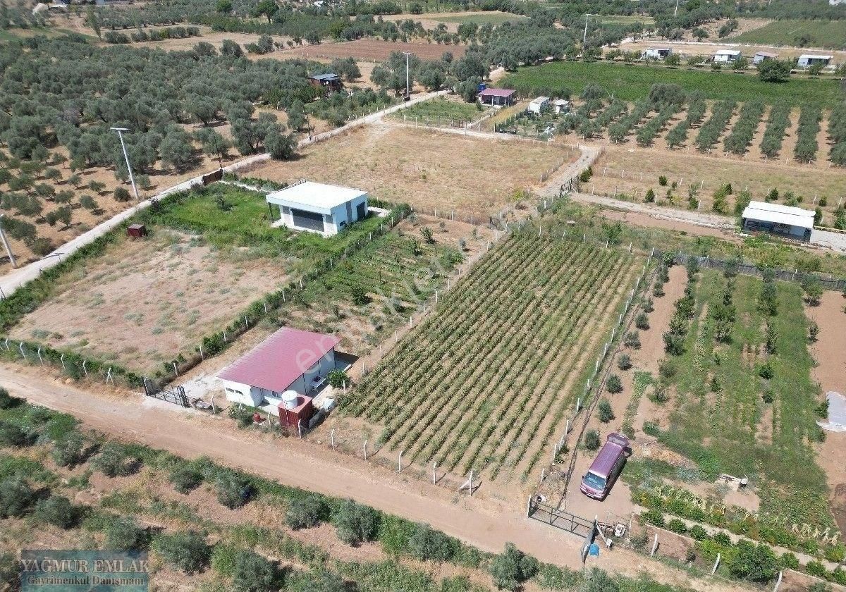 Torbalı Ormanköy Satılık Tarla Torbalı Ormanköy Mevkııbde Tek Tapu Satılık Tarla