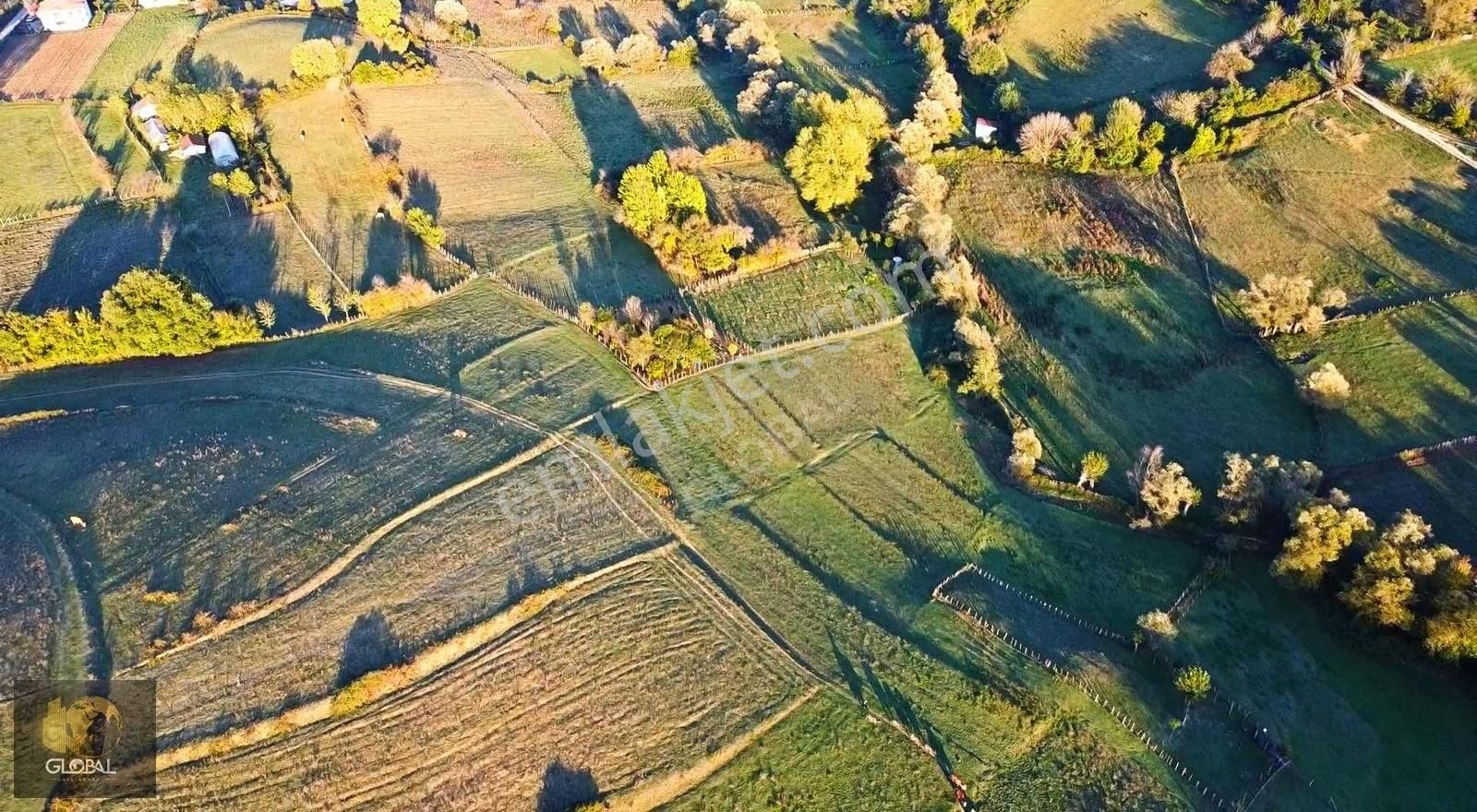 Bartın Merkez Gecen Satılık Tarla GECEN'DE SATILIK ARSA EN UYGUN FİYAT GARANTİSİ