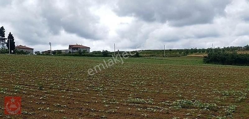 Sakarya Adapazarı Büyükhatapli Mah Satılık Tarla