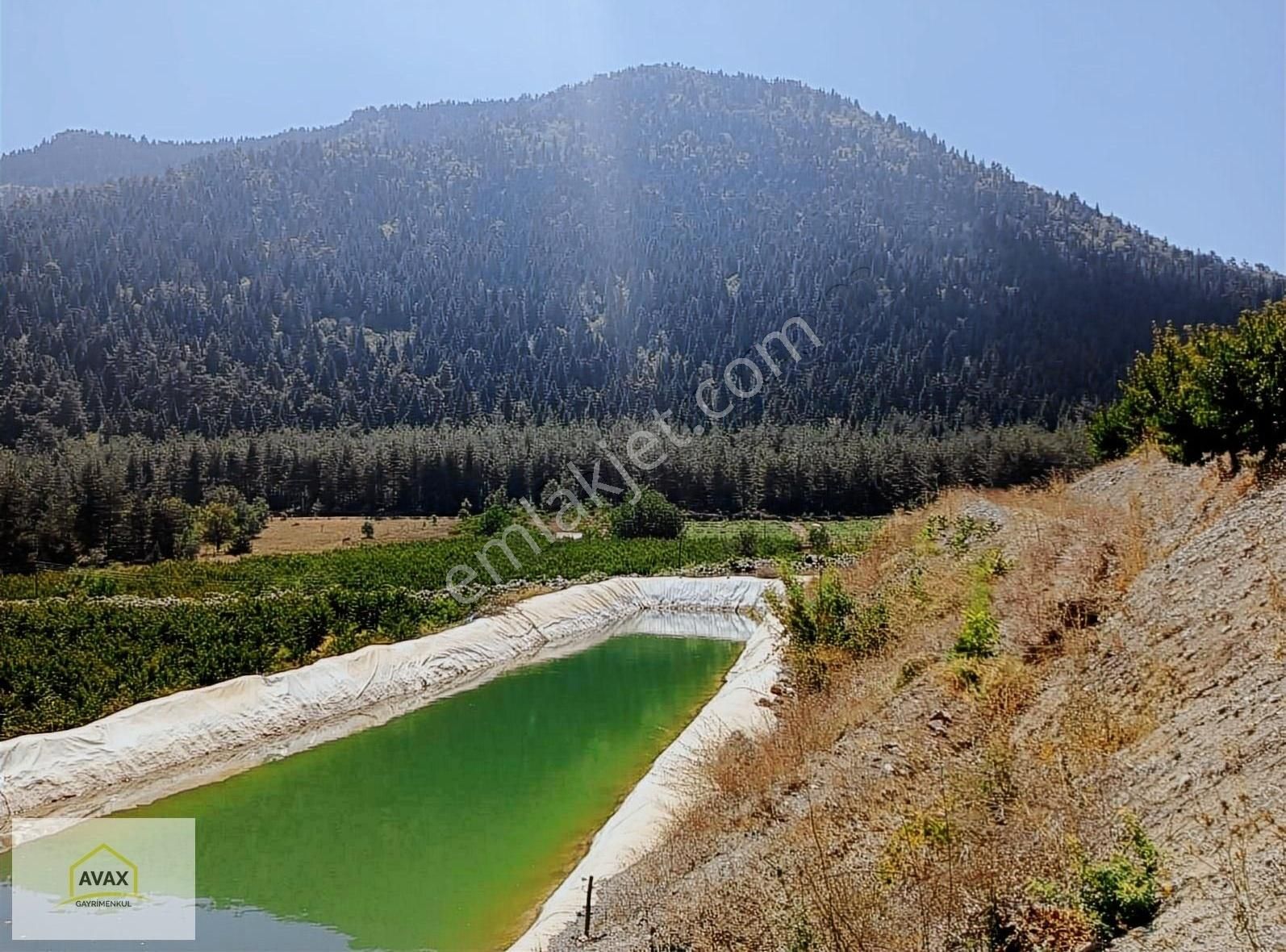 Toroslar Güzelyayla Satılık Bağ & Bahçe AVAX GAYRİMENKULDEN KİZİLBAĞDA 24 DÖNÜM ŞEFTALİ BAHÇESİ