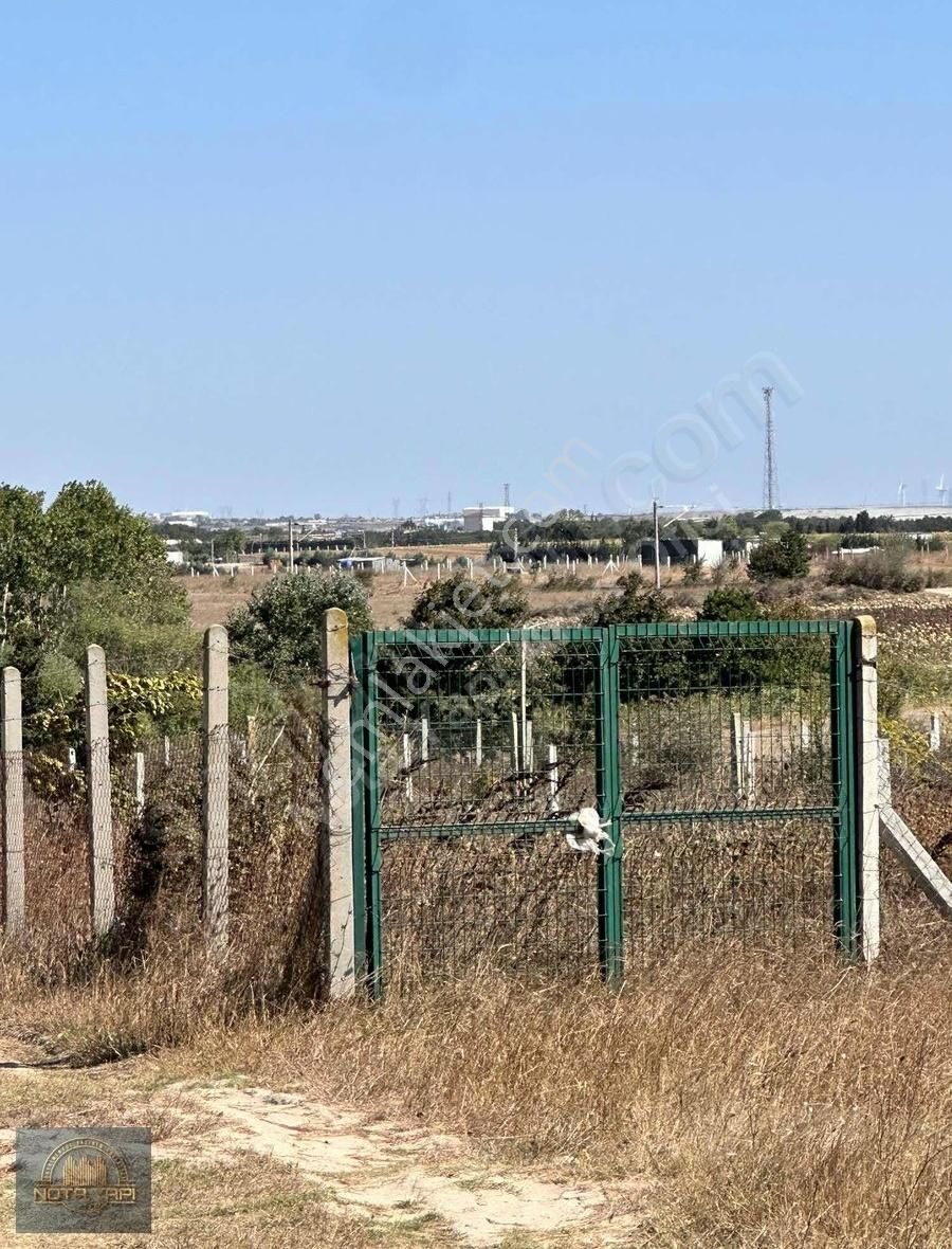 Silivri Çayırdere Satılık Bağ & Bahçe KÖYİÇİ KONUMDA 332 MT ASFALT CEPHE HIZLI TREN HATTINA ÇOK YAKIN