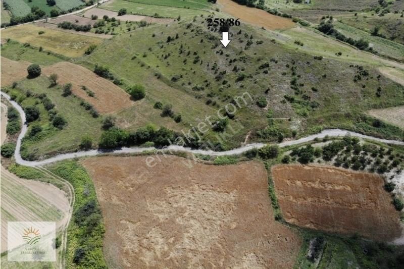 Bilecik Merkez Kızıldamlar Köyü Satılık Tarla FIRSAT BİLECİK MERKEZİN EN UCUZ ARAZİSİ HEM DE DÜZ VE KÖYE YAKIN