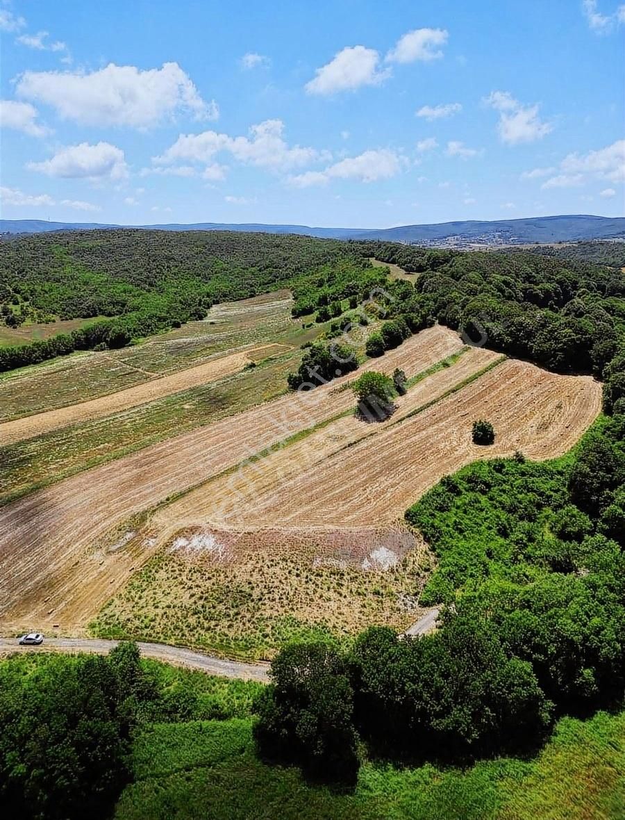 Çatalca Çiftlikköy Satılık Tarla ÇATALCA ÇİFTLİKKÖYDE 260 M2