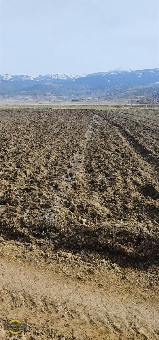 Yeşilova Salda Köyü (Aşağı) Satılık Tarla Burdur Yeşilova Yukarı Salda Köyünde Salda Gölüne Yakın Tarla