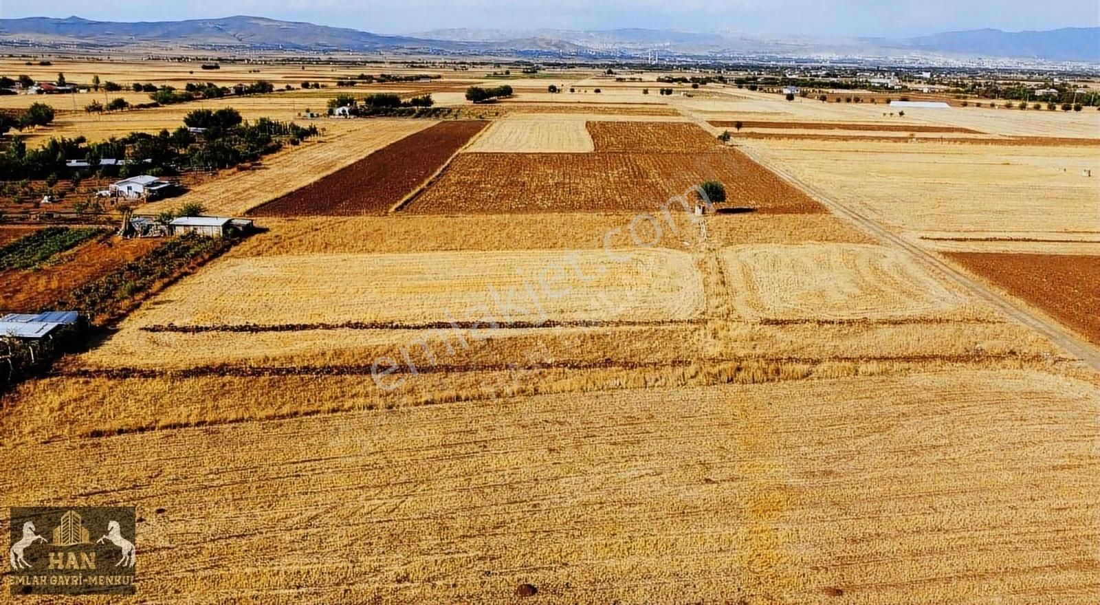 Elazığ Merkez Gözebaşı Köyü (Yeşilyurt) Satılık Tarla Han Emlaktan Gözebaşı Köyünde Ana Yola Yakın Fırsat Tarla