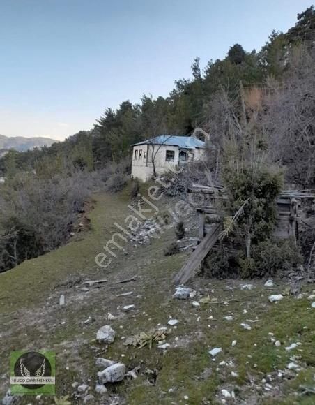 Acıpayam Suçatı Satılık Tarla NİLİGO'DAN ÇAMELİ SUÇATI'DA SATILIK 2 PARSEL KARGIR EVLİ TARLA