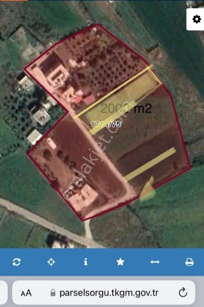 Kiralık Tarla