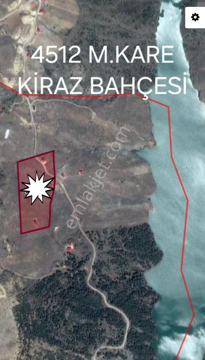 Erdemli İlemin Satılık Tarla Mersin Erdemli İlemin İlemin Mah.karagız Göleti Manzaralı 4512 M.kare Satılık Kiraz Bahçesi