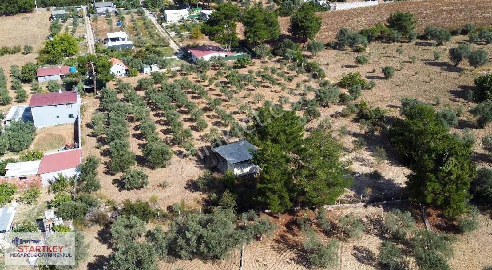 İzmir Bucada Satılık 6895m2 Tarla - Görsel 2