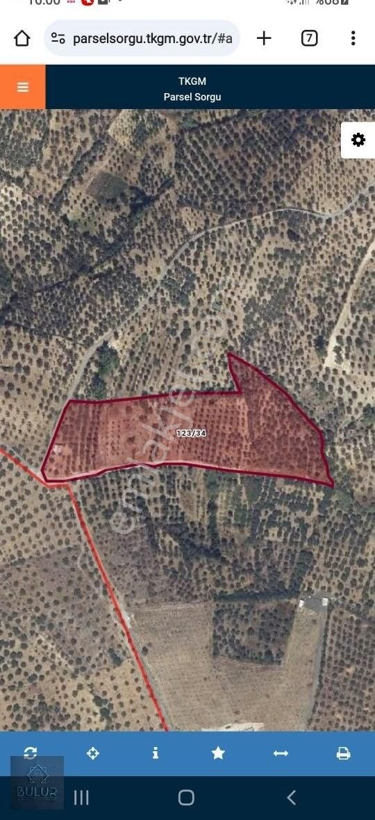 Torbalı Çakırbeyli Satılık Tarla Bulur Dan Torbalı Çakırbeyli De 1370 M2 Köşe Parsel Tarla