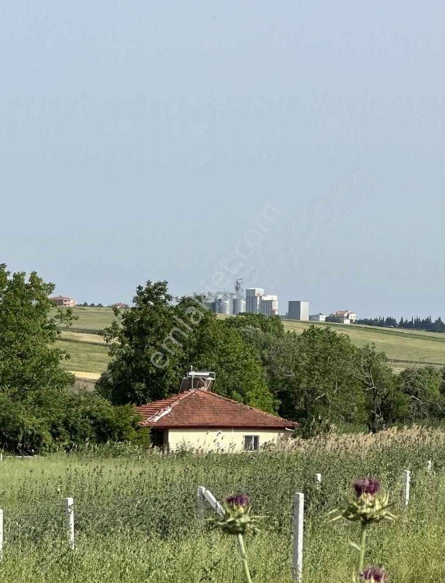 Yolu Elektrik Başınakadar Gelmiş Fırsat Arsa - Görsel 19