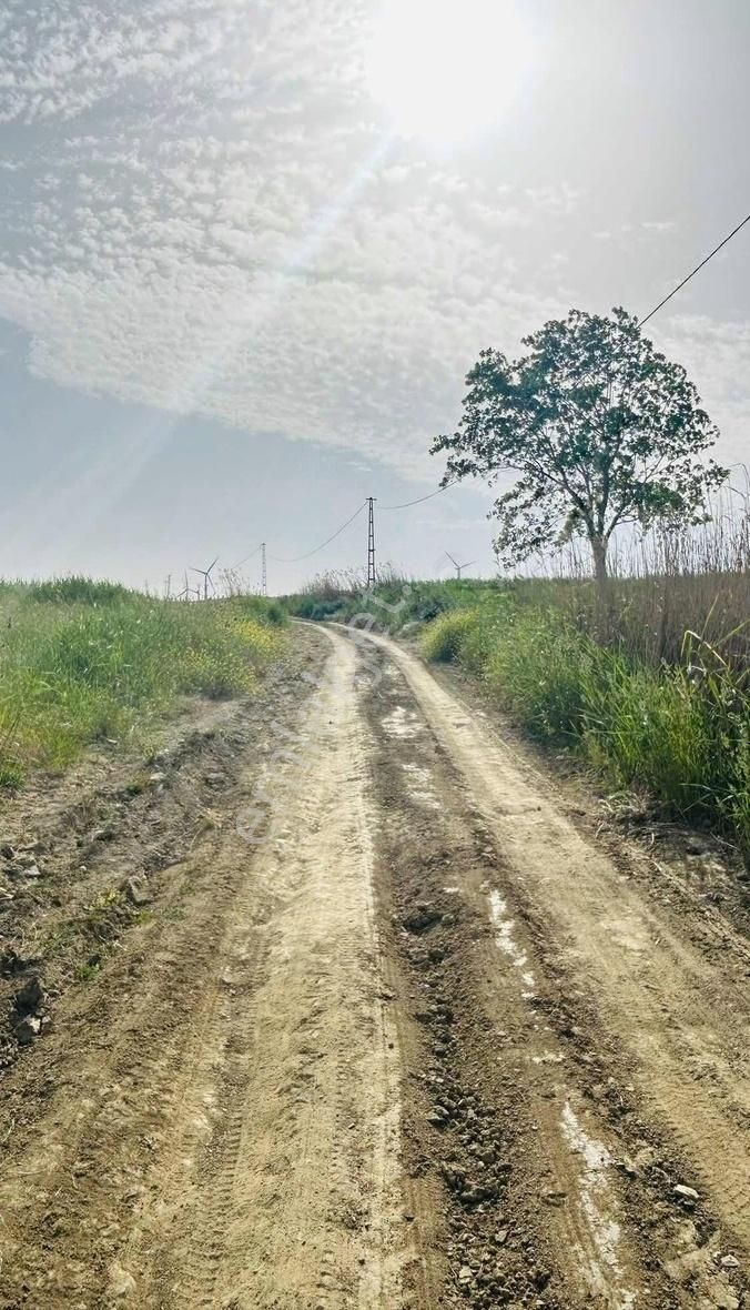 Silivri Çanta Sancaktepe Satılık Tarla Yolu Elektrik Başınakadar Gelmiş Fırsat Arsa