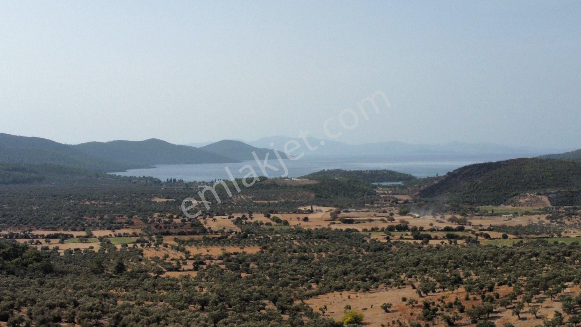 Milas Kazıklı Satılık Özel Kullanım İmara Yakın Panaromik Deniz Manzaralı Yatırımlık Arsa