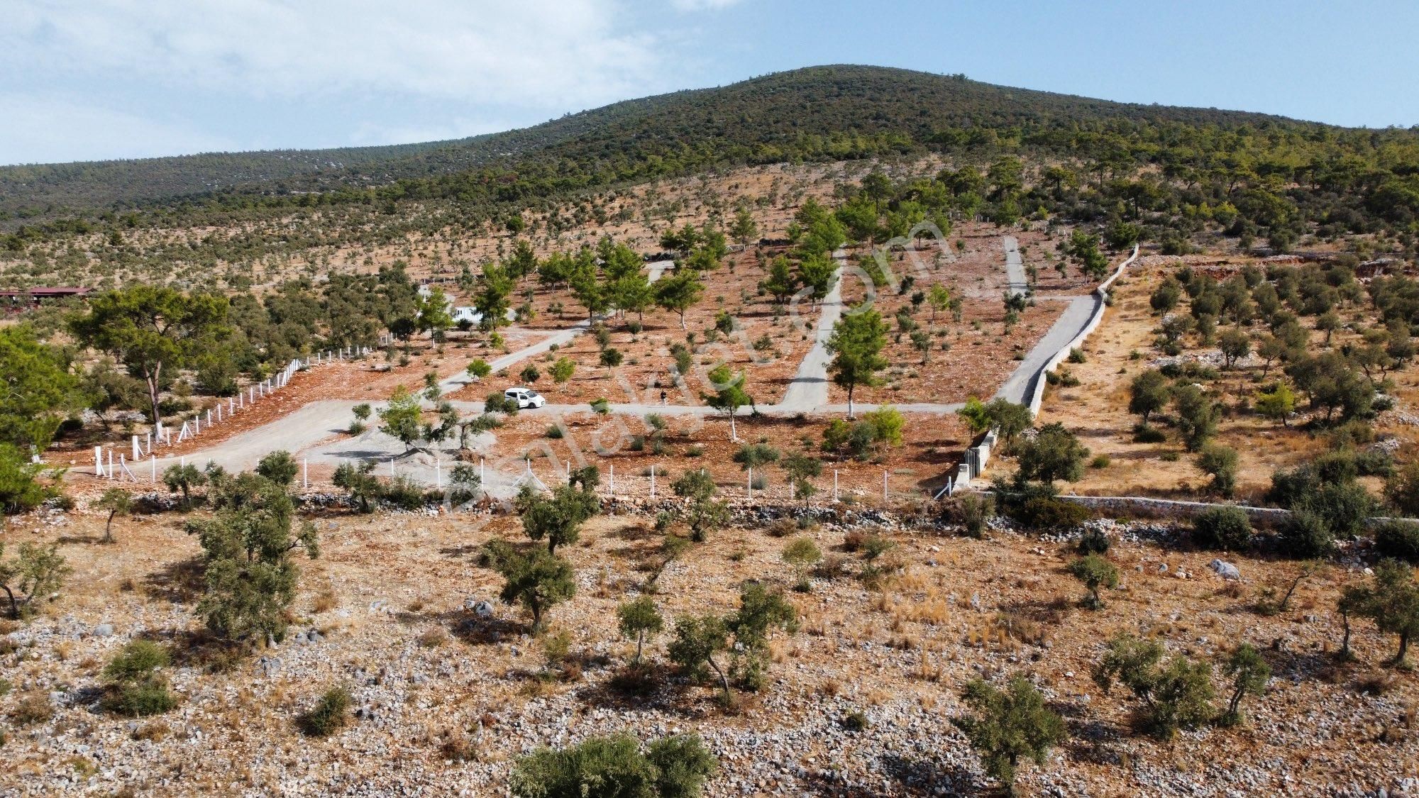İmara Yakın Panaromik Deniz Manzaralı Yatırımlık Arsa - Görsel 2