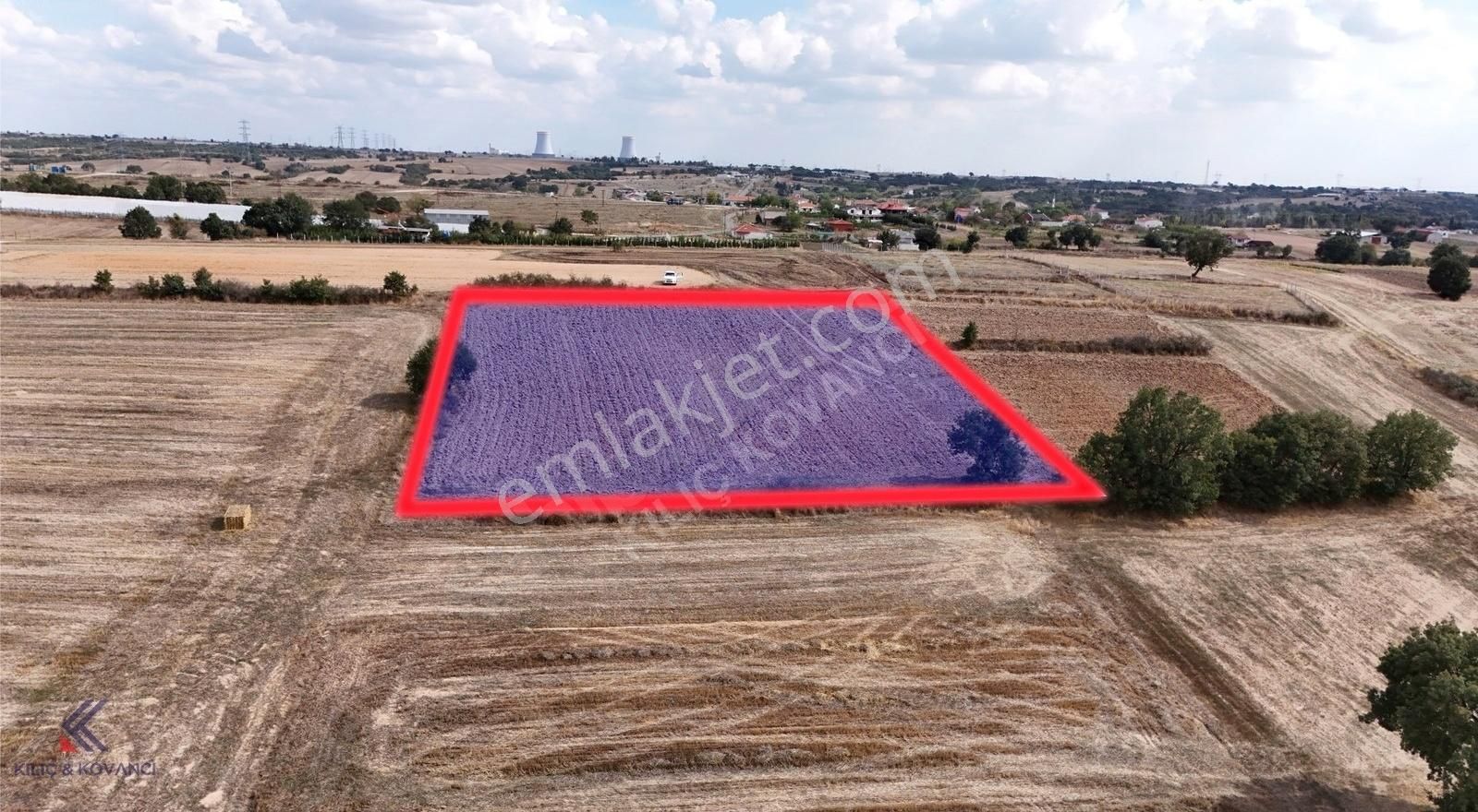 Lüleburgaz Hamitabat Köyü Satılık Tarla Kılıç Kovancı Lüleburgaz Hamitabat 3900m² Satılık Arazi