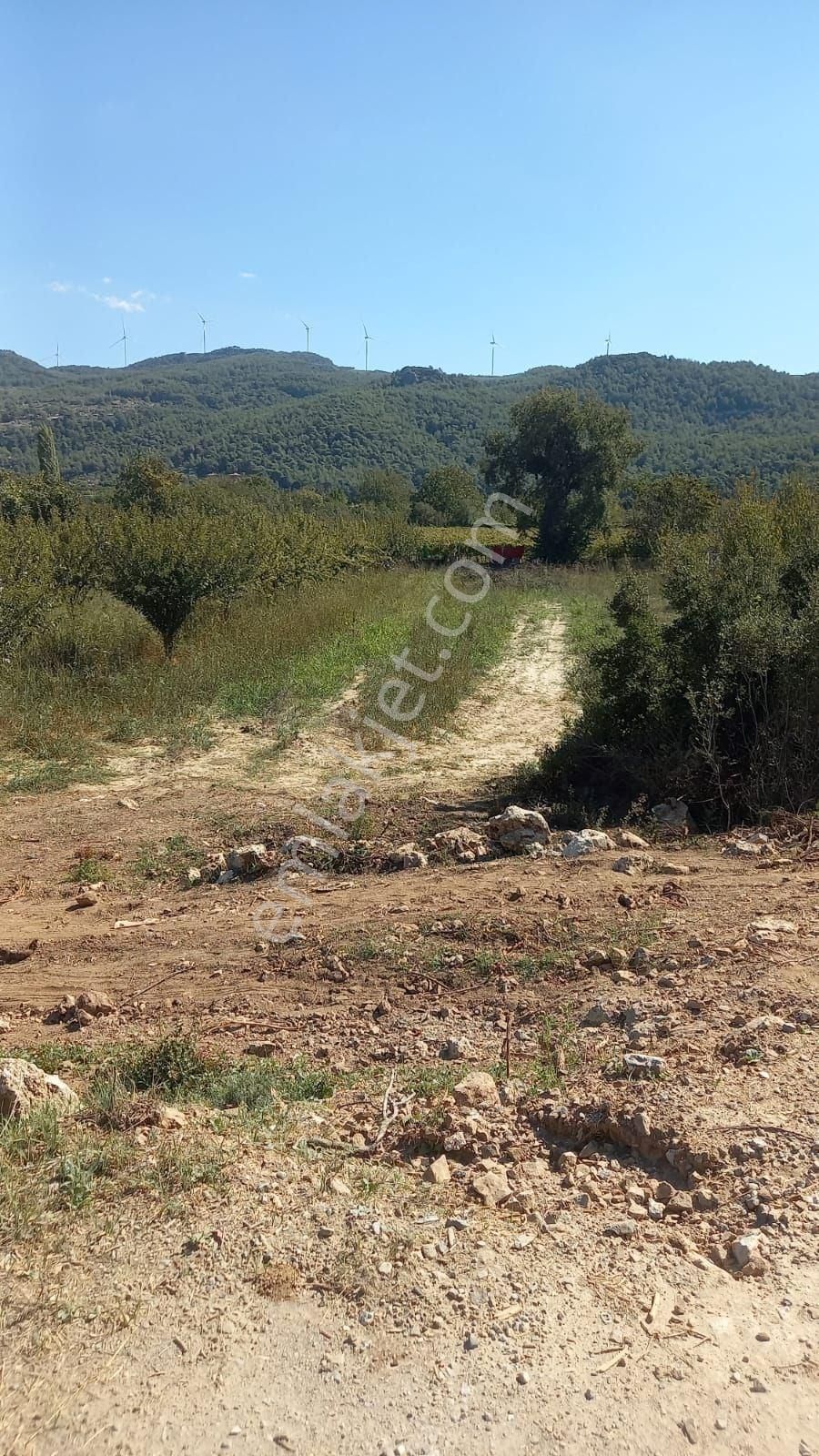 Selçuk Gökçealan Mevkiinde Satılık Arsa