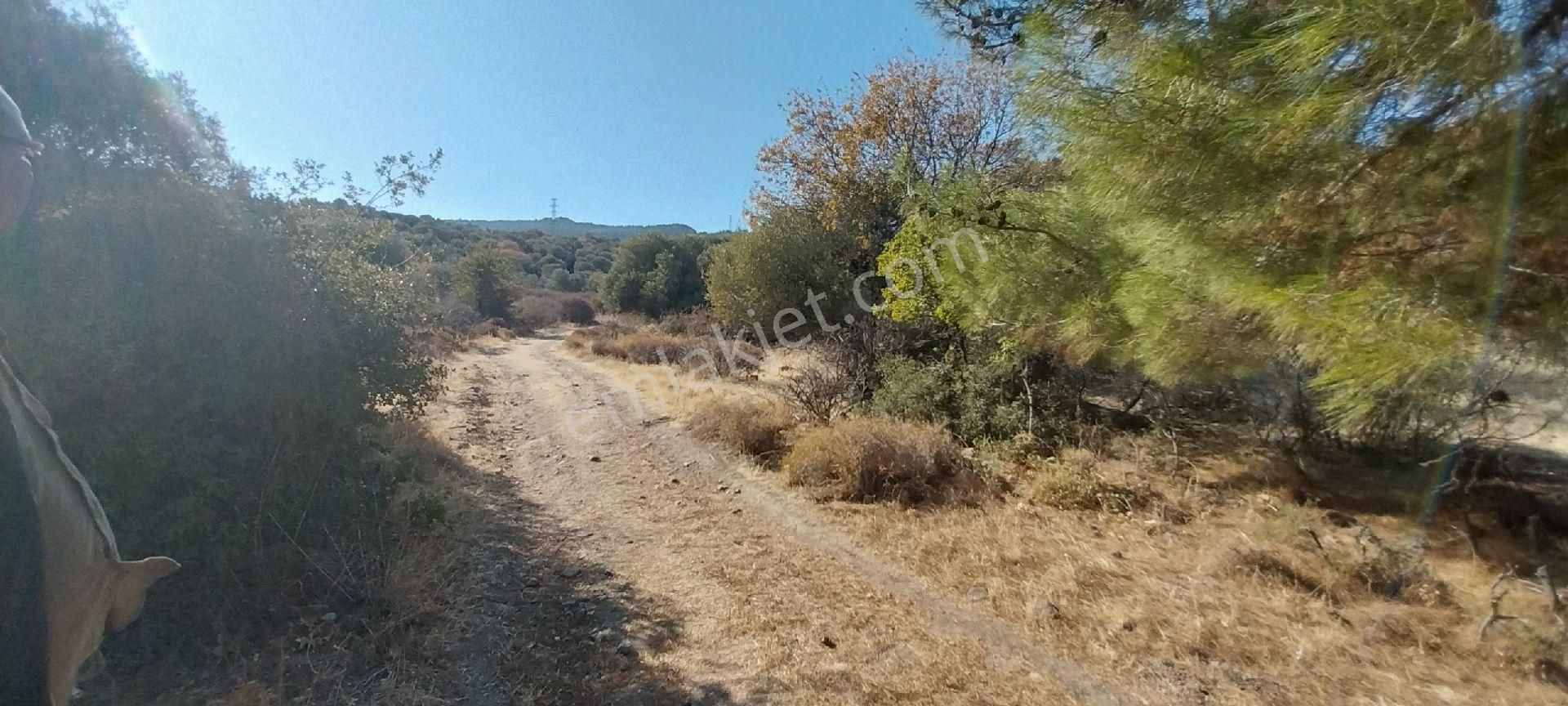 Rose Emlak'tan Satılık Villa Arsası - Görsel 10