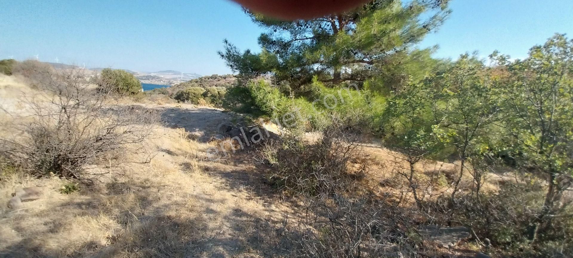 Rose Emlak'tan Satılık Villa Arsası - Görsel 9