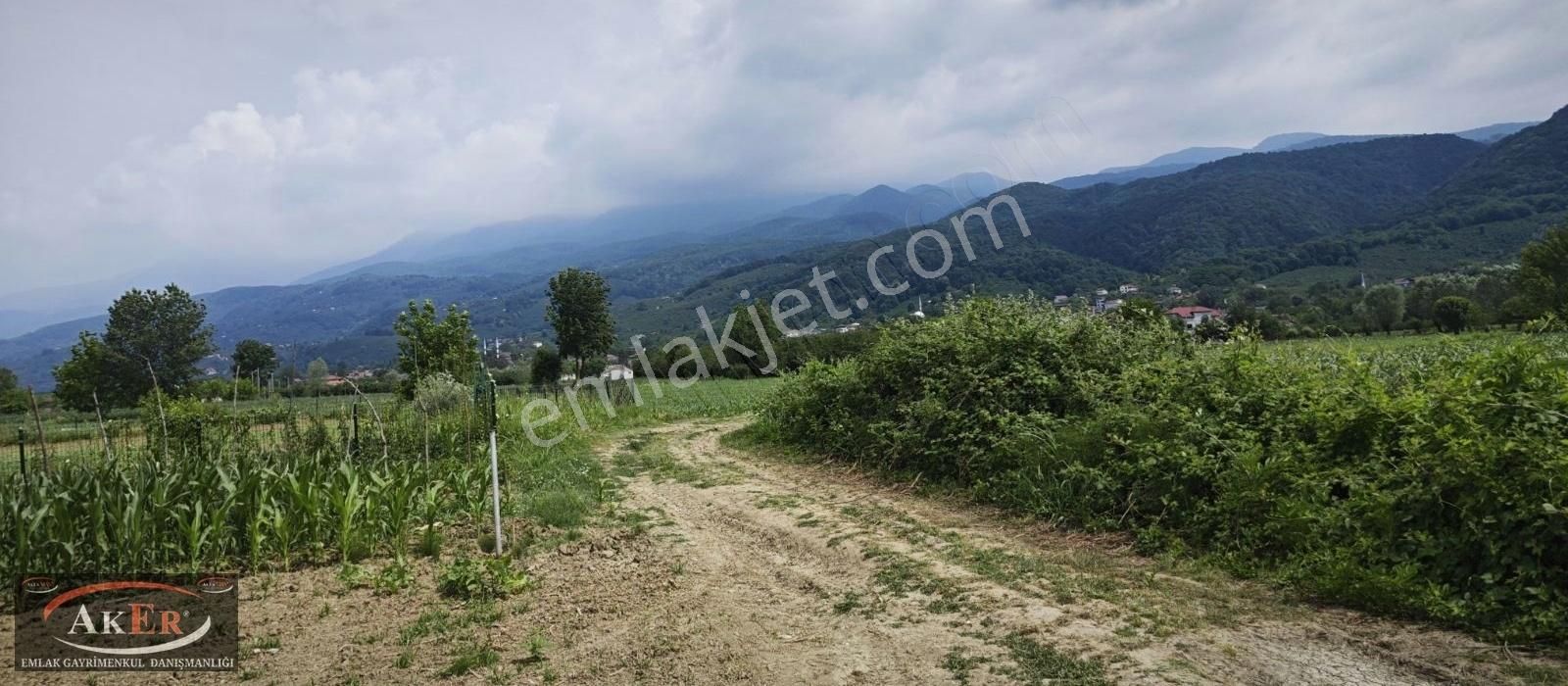 Akyazı Altındere Gündoğan Satılık Konut İmarlı Aker Emlak Tan İmarlı Düz Manzaralı Arsa