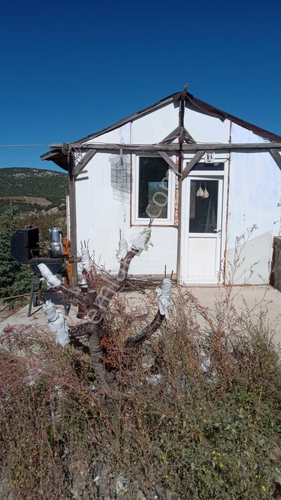 Eğirdir Bademli Köyü Satılık Tarla Isparta Eğirdir Bademli Köyünde Satılık Armut Bahçesi