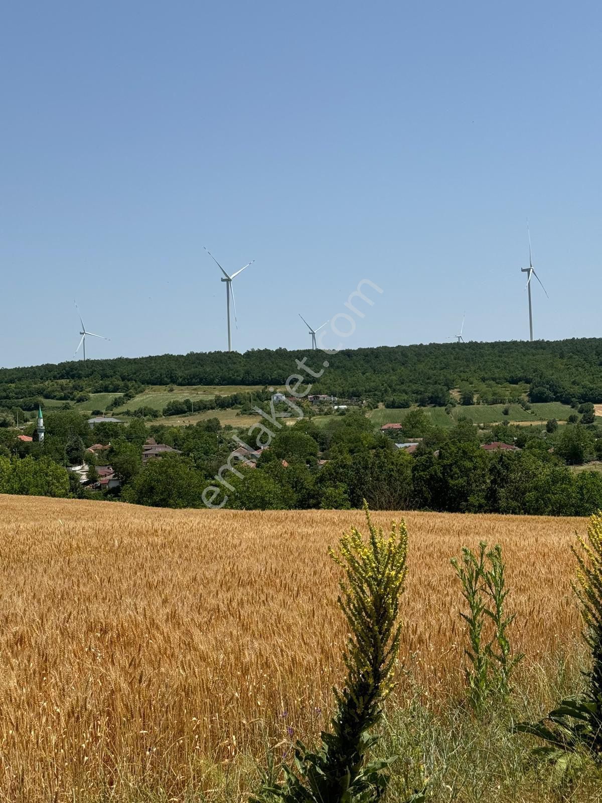 Vize Evrencik Köyü (Evrencik Mücavir) Satılık Tarla Kırklareli Vize Evrencik Mah. 290m2 276m2 Geleceği Parlak Arsalar