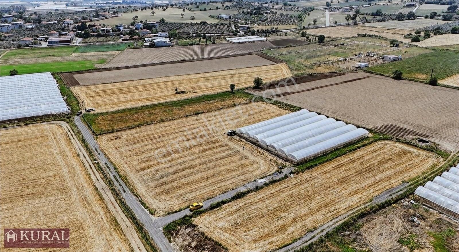 Menderes Sancaklı Satılık Tarla İZMİR MENDERES ÇİLEMEDE 9300 M2 TEK MÜSTAKİL TAPU ULAŞIMA YAKIN