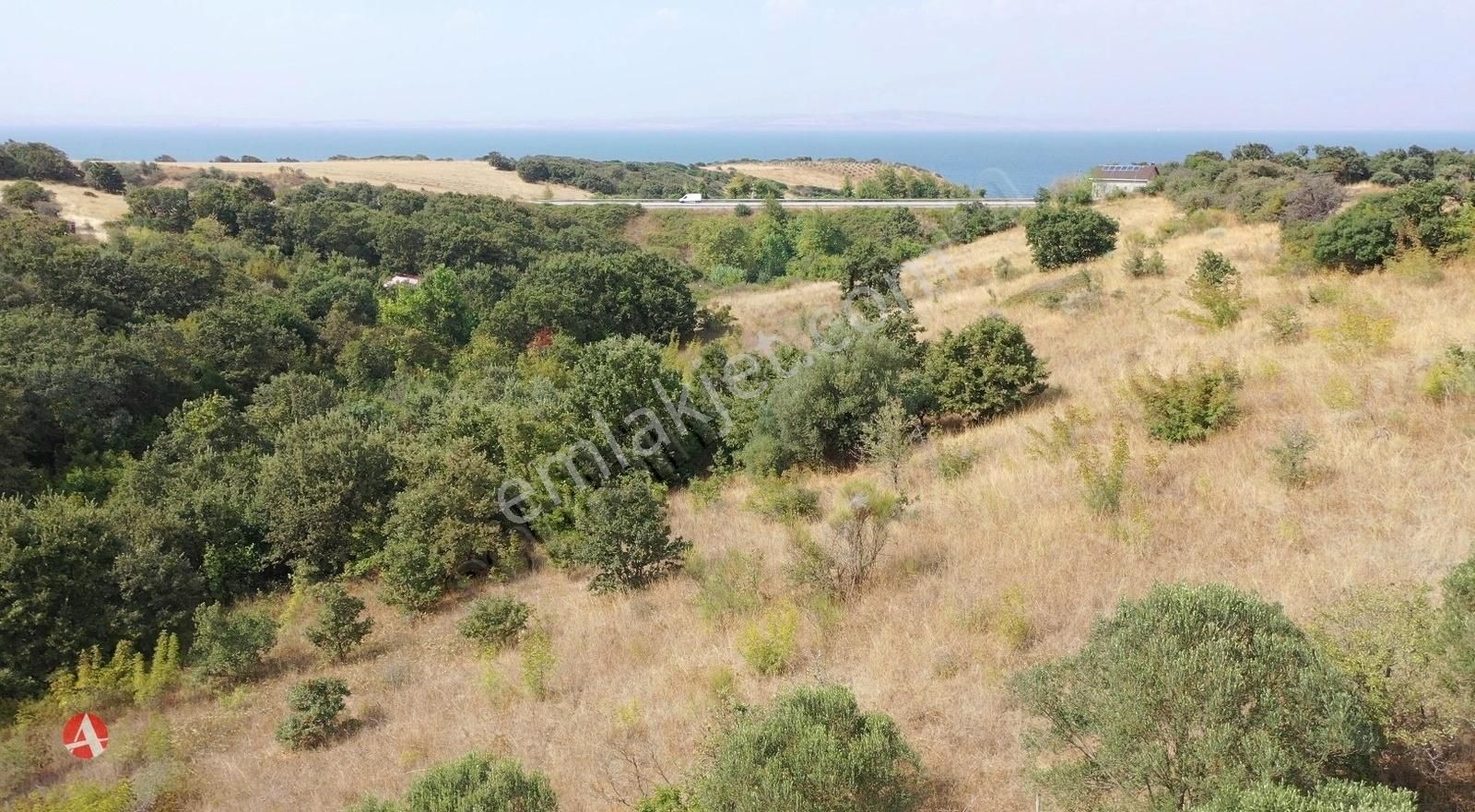 Lapseki Güreci Köyü (Gürecialtı) Satılık Tarla Çanakkale, Lapseki, Güreci, Boğaz Manzaralı Satılık Arazi