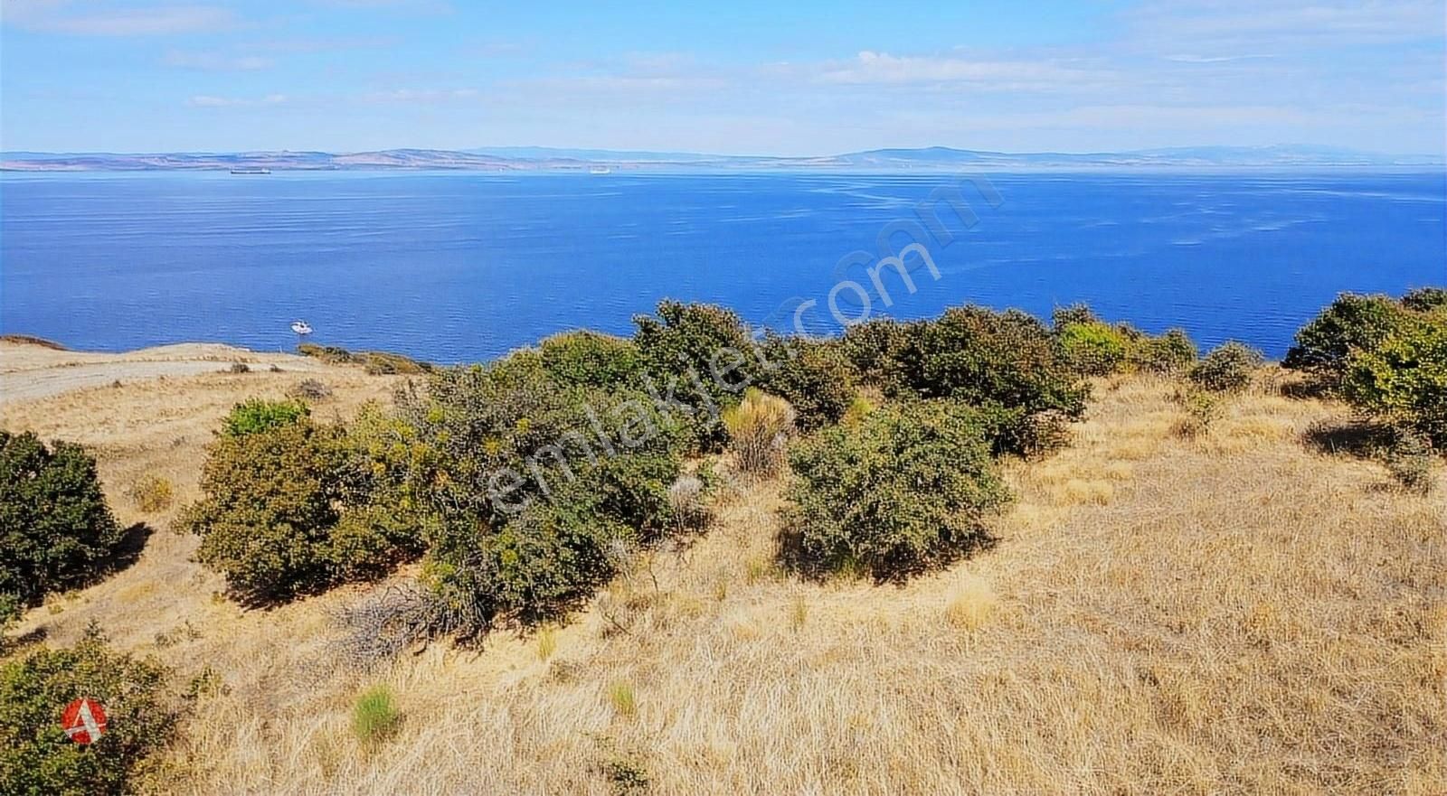 Lapseki Şevketiye Köyü Satılık Tarla Çanakkale, Lapseki, Şevketiye, Boğaz Manzaralı Yatırımlık Arazi