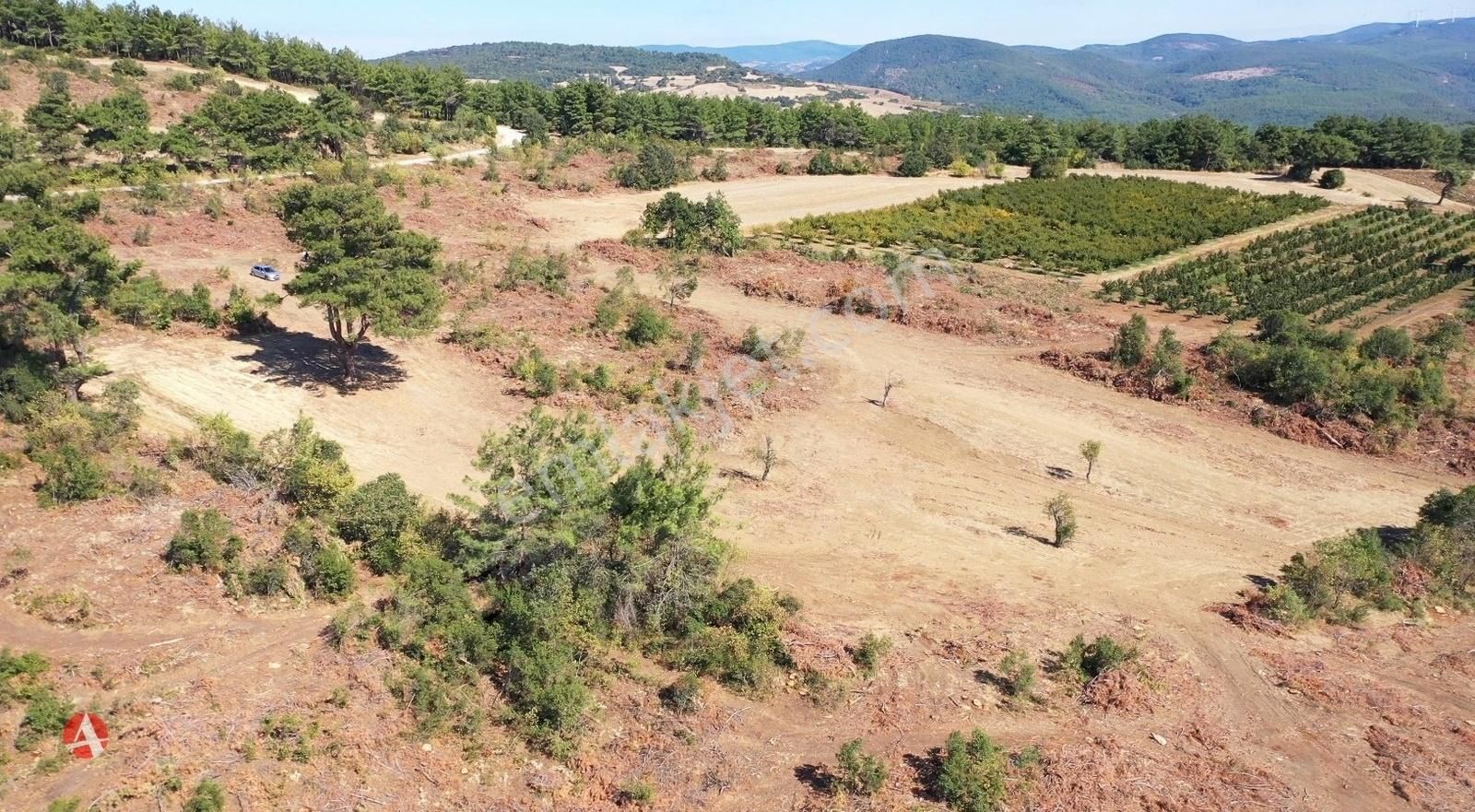 Lapseki Gökköy Köyü Satılık Tarla ÇANAKKALE, LAPSEKİ, GÖKKÖY, DOĞA MANZARALI YATIRIMLIK ARAZİ