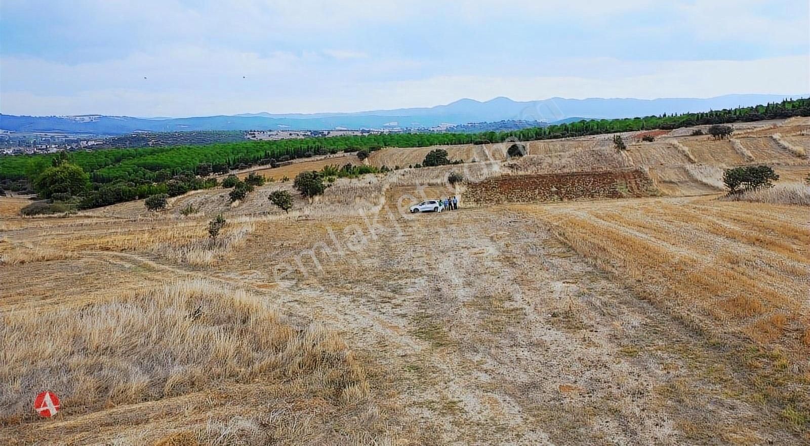 Biga Çelikgürü Köyü Satılık Tarla Çanakkale, Biga, Çelikgürü, Müstakil Tapulu Satılık Arazi