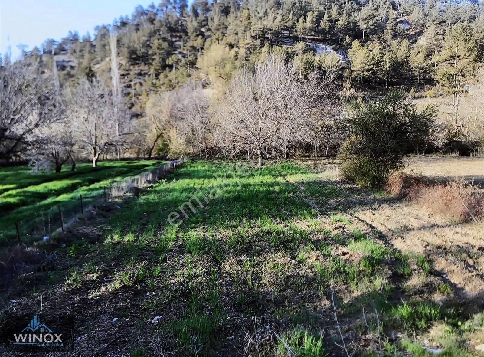 Honaz Karaçay Satılık Bağ & Bahçe Wınox Dan Satılık Hobi Bahçesi Denizli Honaz