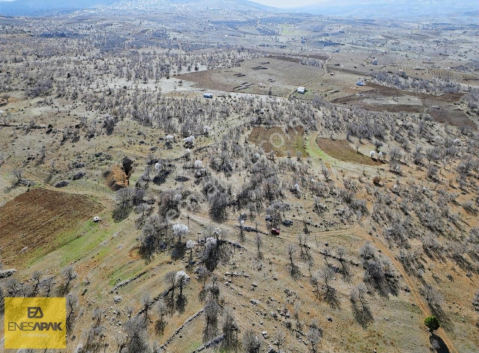 Bozkır Hamzalar Satılık Bağ & Bahçe BOZKIR'DA 1665m² MÜSTAKİL EMSALLERİNDEN UCUZ TARLA