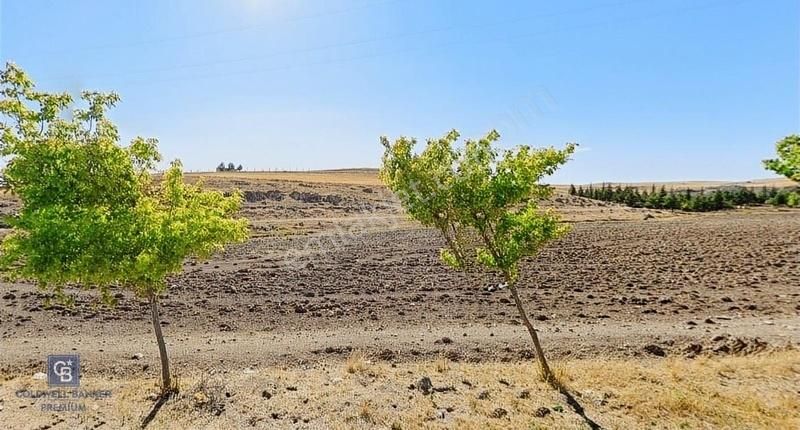 Gölbaşı Mahmatlıbahçe Satılık Tarla TEK TAPU, DAİRE TAKASINA AÇIK GÖLBAŞI MAHMATLIBAHÇE FIRSAT ARSA