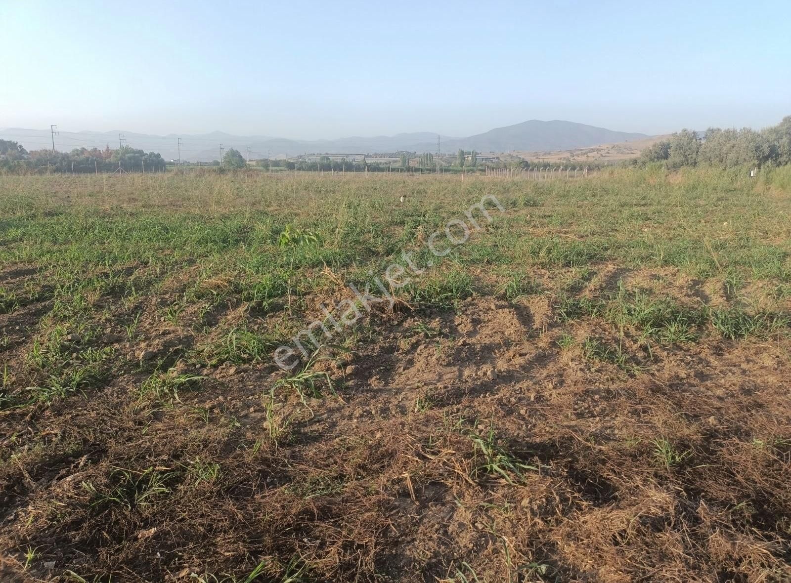 Nursima Emlak'tan Satılık Asfalta Sıfır Çiftlik - Görsel 19