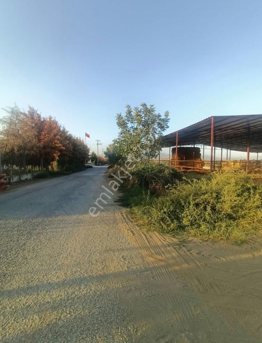 Nursima Emlak'tan Satılık Asfalta Sıfır Çiftlik - Görsel 16