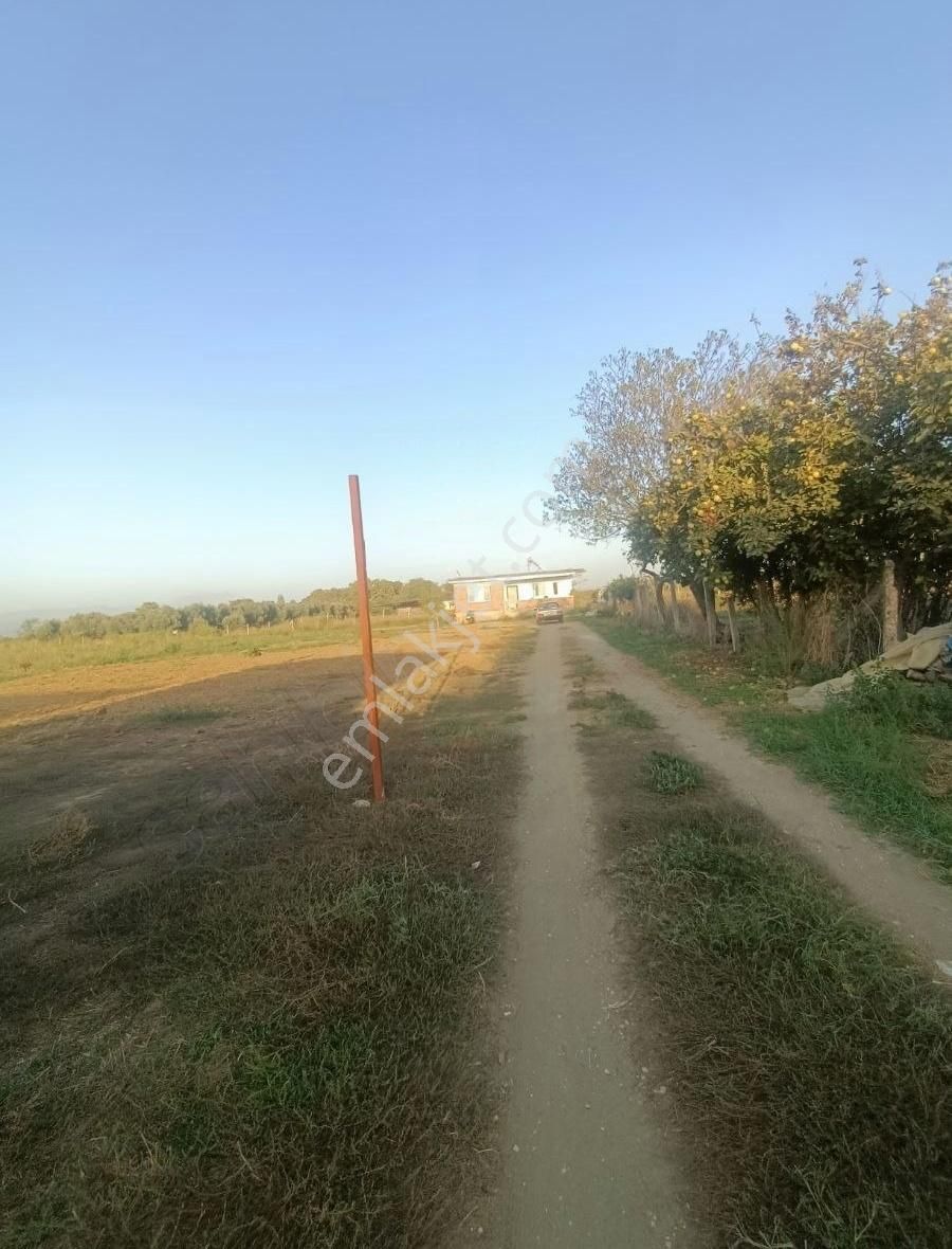 Nursima Emlak'tan Satılık Asfalta Sıfır Çiftlik - Görsel 7