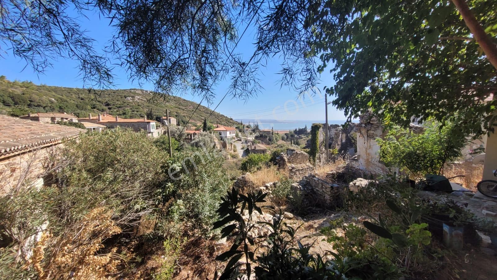 Fırsat Yatırım Söke Doğanbey'de Taş Evi Yapılmak Üzere 459,35 M2 Arsa