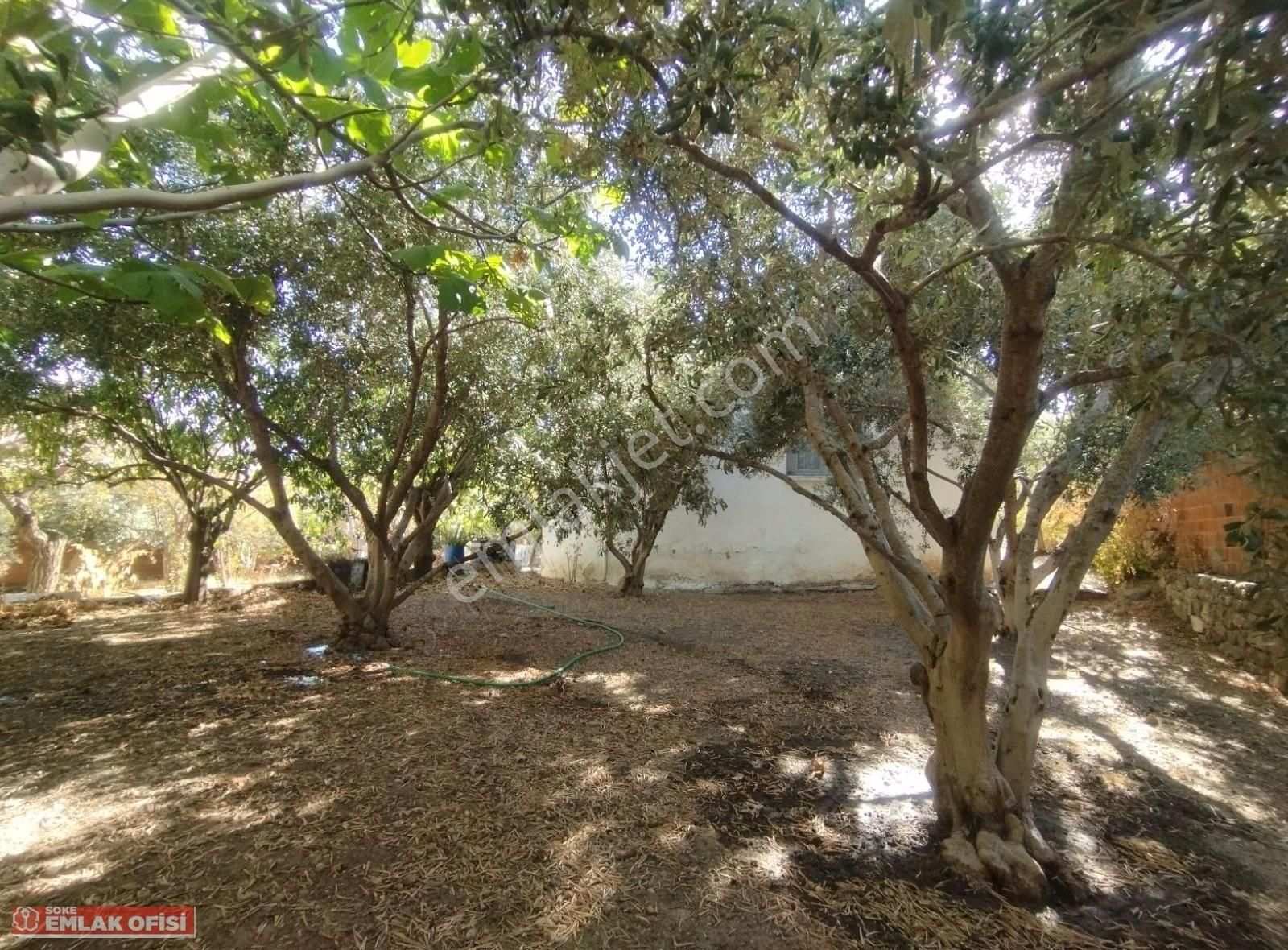Söke Emlak Ofisinden Akçakonak,ta Satılık Bahçeli Müstakil Ev - Görsel 14