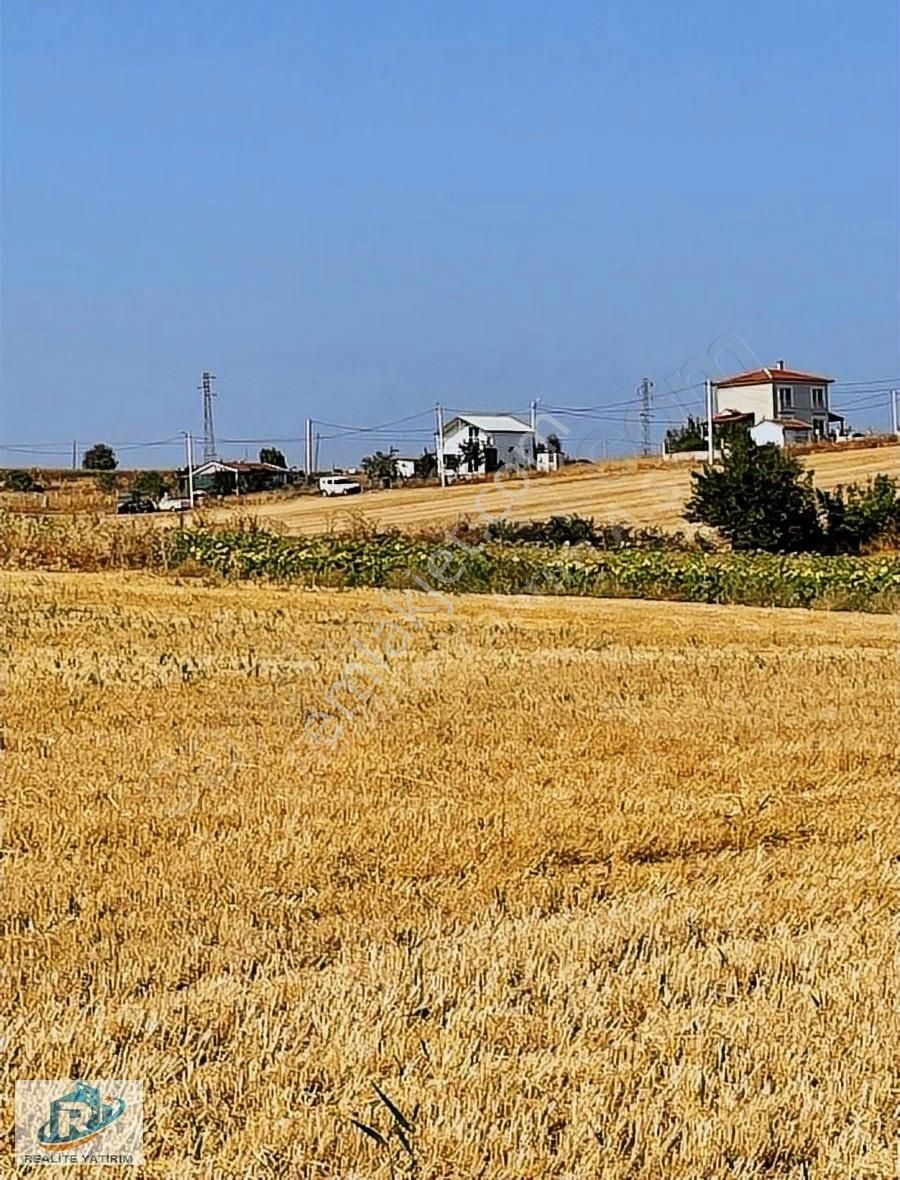 Şarköy Kocaali Satılık Muhtelif Arsa Şarkoyde Deniz Manzaralı