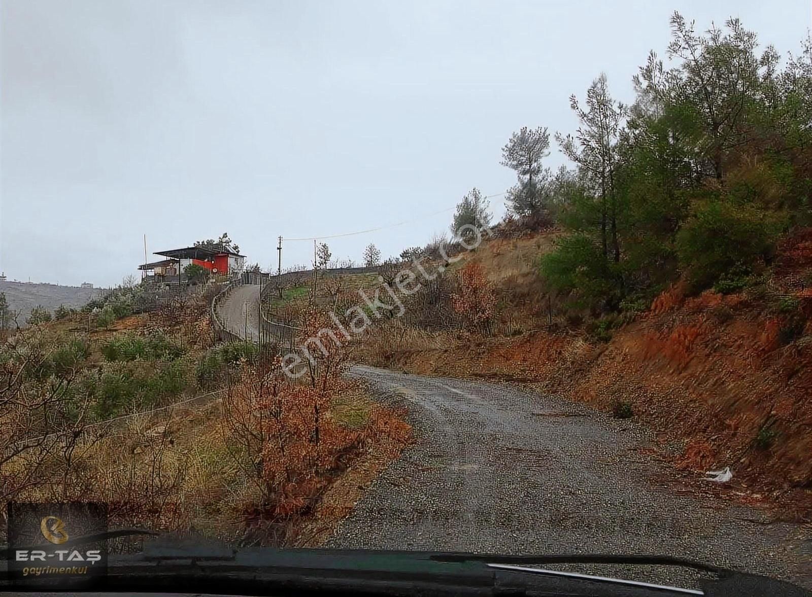 Onikişubat Fatmalı Satılık Bağ & Bahçe Er-taş'tan Fatmalı'da Yol Kenarı Tek Parsel