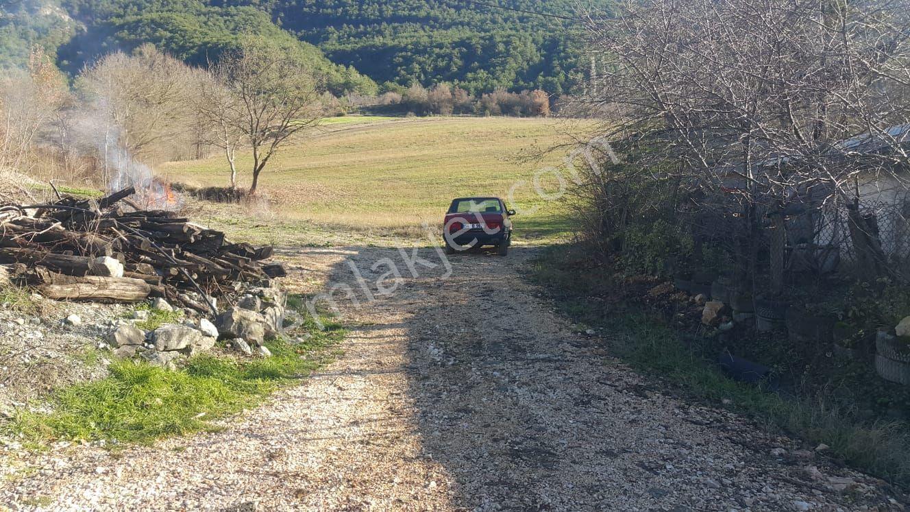 Konut İmarlı Asvalt Cephe Sakarya Geyve Taraklı Termal Dibi Sahibinden Arsa - Görsel 4